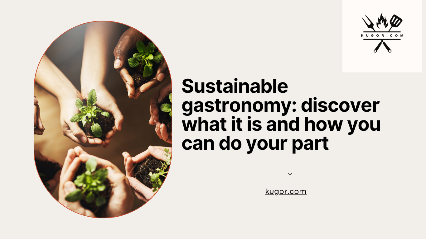 Sustainable gastronomy: discover what it is and how you can do your part